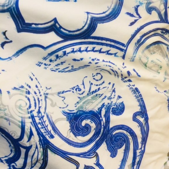 Etro Italy Men's Swim Trunks